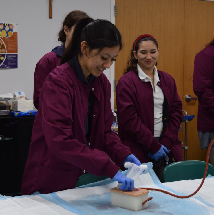 DOMS Digest – Week of February 23